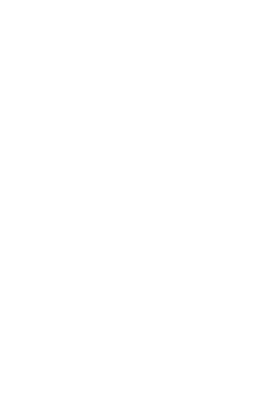 Panzakft